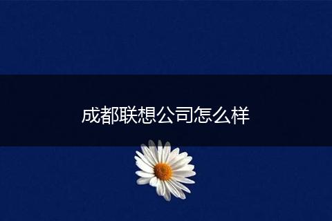 成都联想公司怎么样