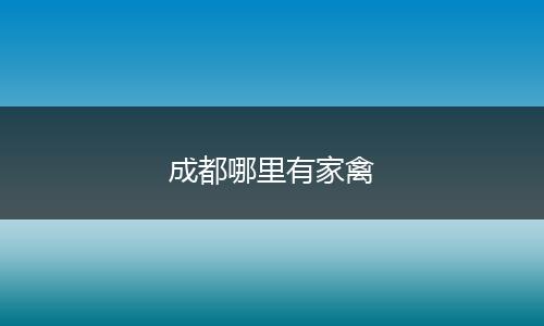 成都哪里有家禽