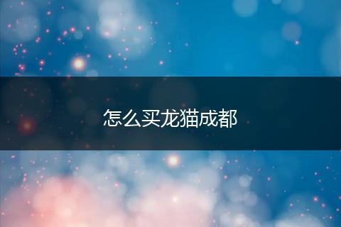 怎么买龙猫成都