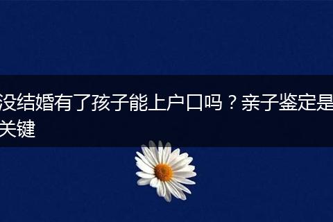 没结婚有了孩子能上户口吗？亲子鉴定是关键