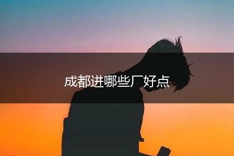 成都进哪些厂好点