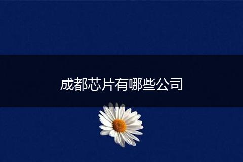 成都芯片有哪些公司