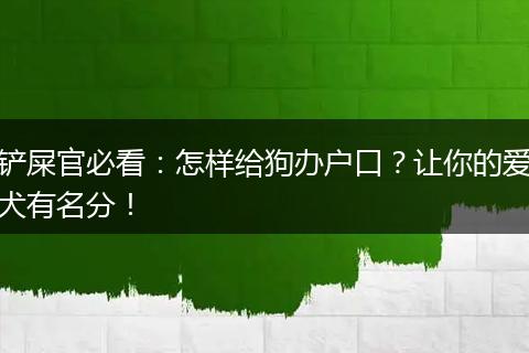 铲屎官必看:怎样给狗办户口?让你的爱犬有名分!