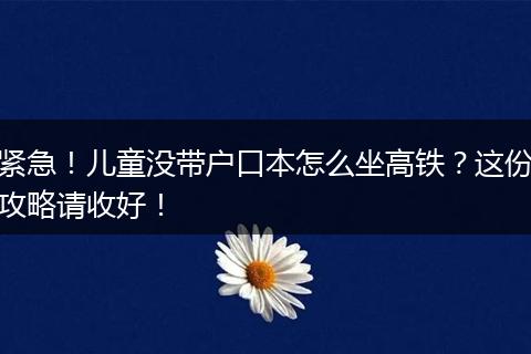 紧急！儿童没带户口本怎么坐高铁？这份攻略请收好！