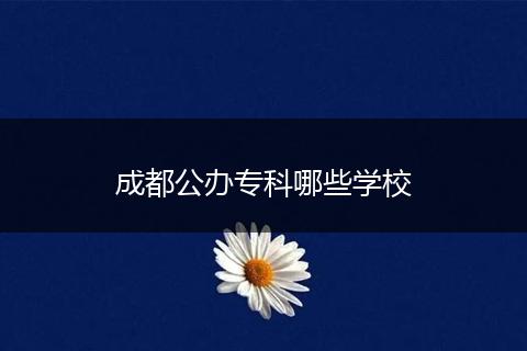 成都公办专科哪些学校
