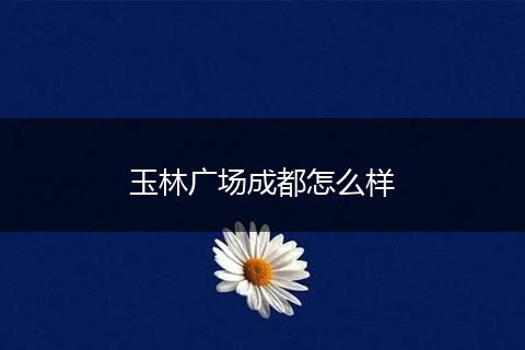 玉林广场成都怎么样