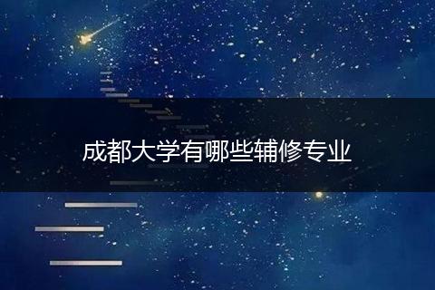 成都大学有哪些辅修专业