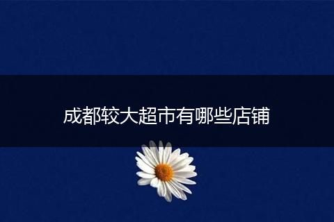 成都较大超市有哪些店铺