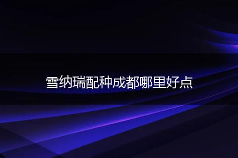 雪纳瑞配种成都哪里好点