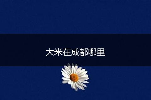 大米在成都哪里