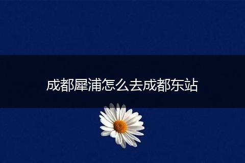 成都犀浦怎么去成都东站