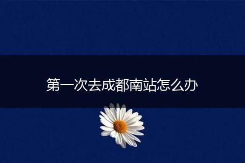 第一次去成都南站怎么办