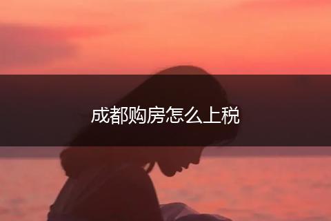 成都购房怎么上税