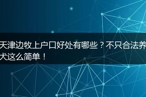 天津边牧上户口好处有哪些？不只合法养犬这么简单！