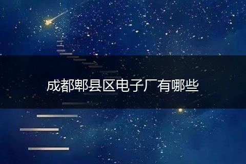 成都郫县区电子厂有哪些