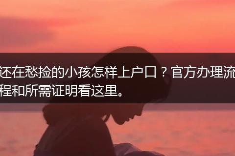 还在愁捡的小孩怎样上户口？官方办理流程和所需证明看这里。