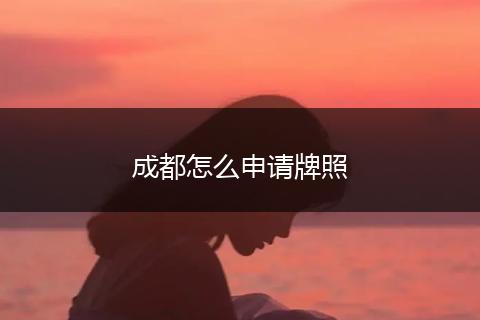 成都怎么申请牌照