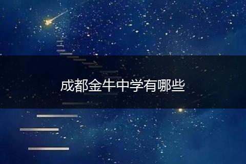 成都金牛中学有哪些