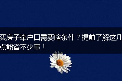 买房子牵户口需要啥条件？提前了解这几点能省不少事！