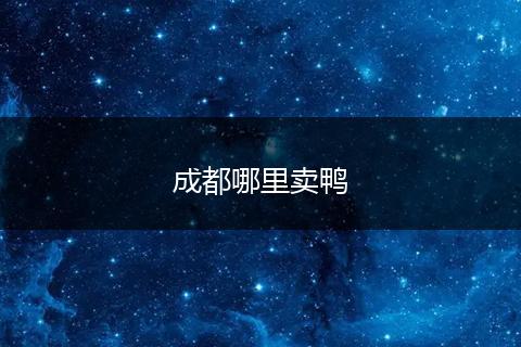 成都哪里卖鸭