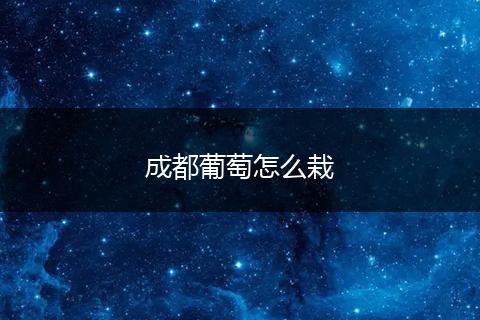 成都葡萄怎么栽