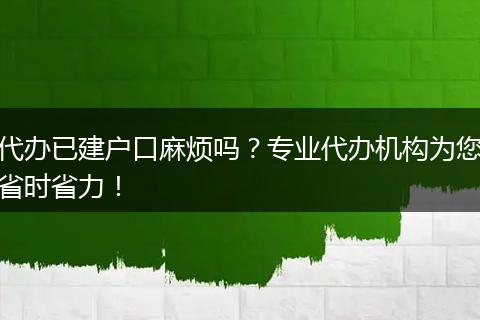 代办已建户口麻烦吗？专业代办机构为您省时省力！