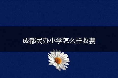 成都民办小学怎么样收费