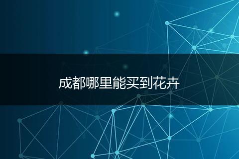 成都哪里能买到花卉