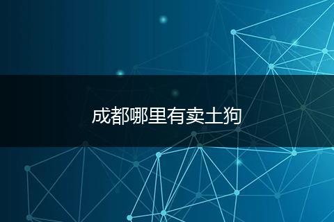 成都哪里有卖土狗