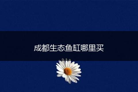 成都生态鱼缸哪里买