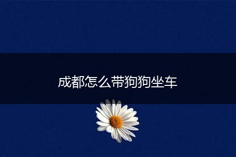 成都怎么带狗狗坐车
