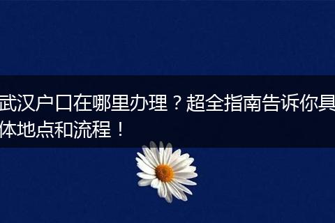武汉户口在哪里办理？超全指南告诉你具体地点和流程！