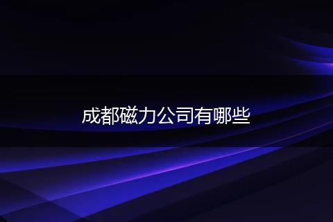成都磁力公司有哪些