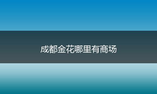 成都金花哪里有商场