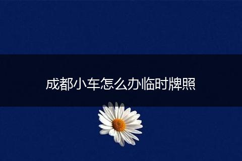 成都小车怎么办临时牌照