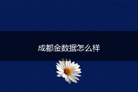 成都金数据怎么样