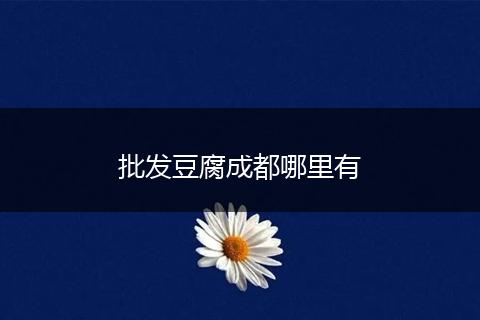 批发豆腐成都哪里有