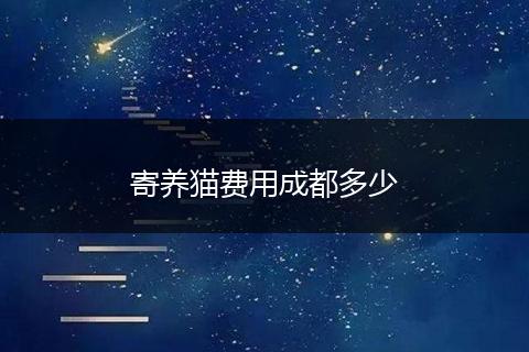 寄养猫费用成都多少