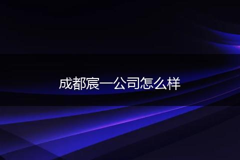 成都宸一公司怎么样