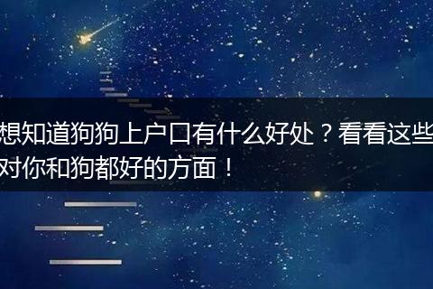 想知道狗狗上户口有什么好处?看看这些对你和狗都好的方面!