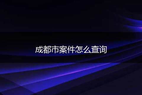 成都市案件怎么查询