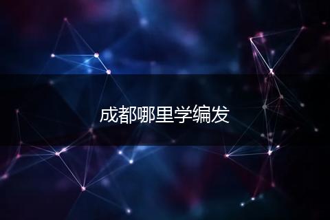 成都哪里学编发