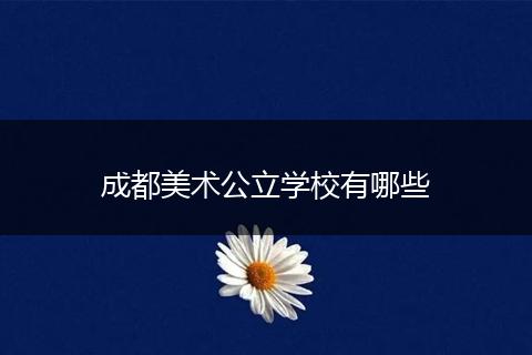 成都美术公立学校有哪些