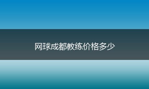网球成都教练价格多少