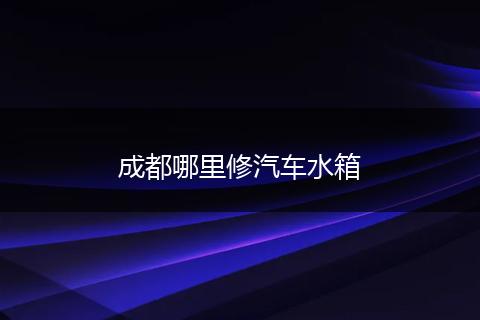 成都哪里修汽车水箱