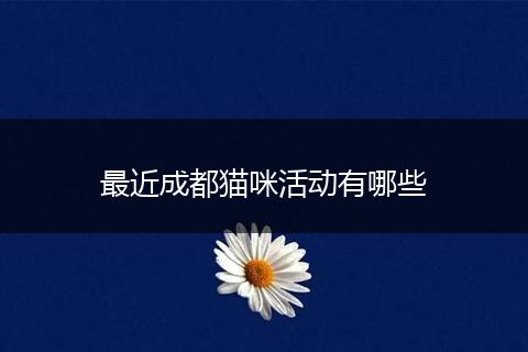 最近成都猫咪活动有哪些