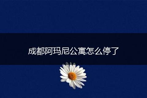 成都阿玛尼公寓怎么停了