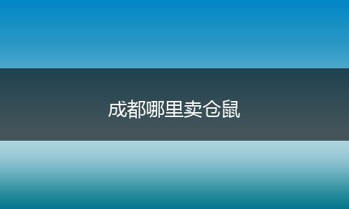 成都哪里卖仓鼠