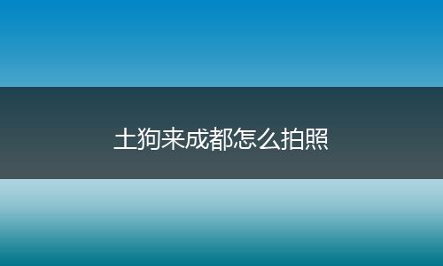 土狗来成都怎么拍照