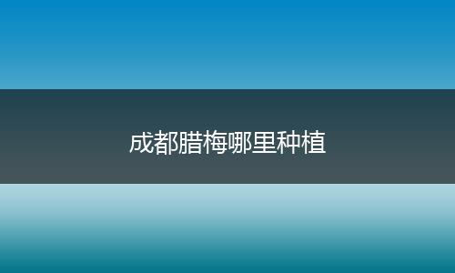 成都腊梅哪里种植